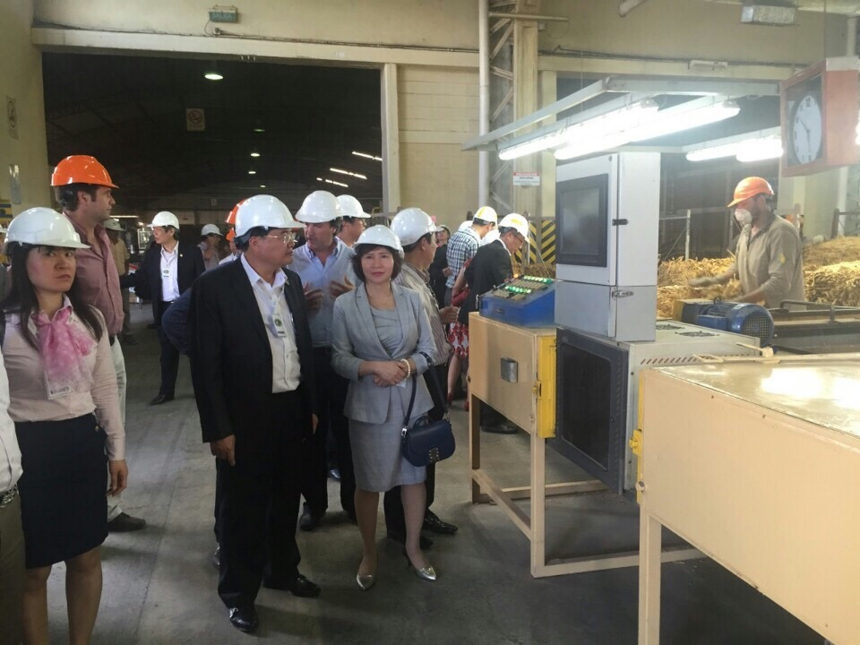 Cigar Hanos, Khát vọng Xì gà Việt sánh vai cùng Thế Giới 2